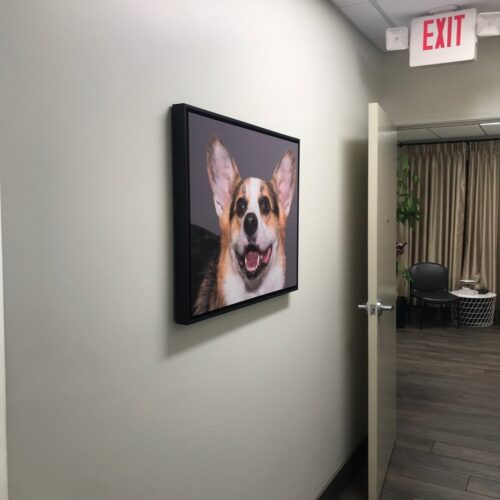 Precision Painting Plus commercial interior veterinarian office painting